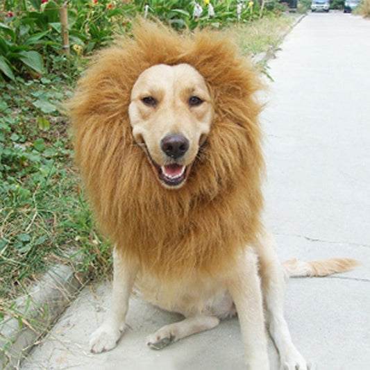 Pet transformation funny dog lion wig hat pet lion headgear eprolo
