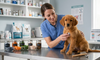 CATEGORY 02 Health & Preventive Care