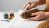 CATEGORY 04 Grooming & Hygiene