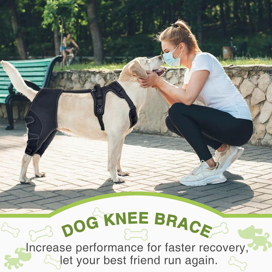 Pet Leg Support Dog Knee Brace Post-Surgery Rehabilitation Knee Support Joint Protection Bandage eprolo