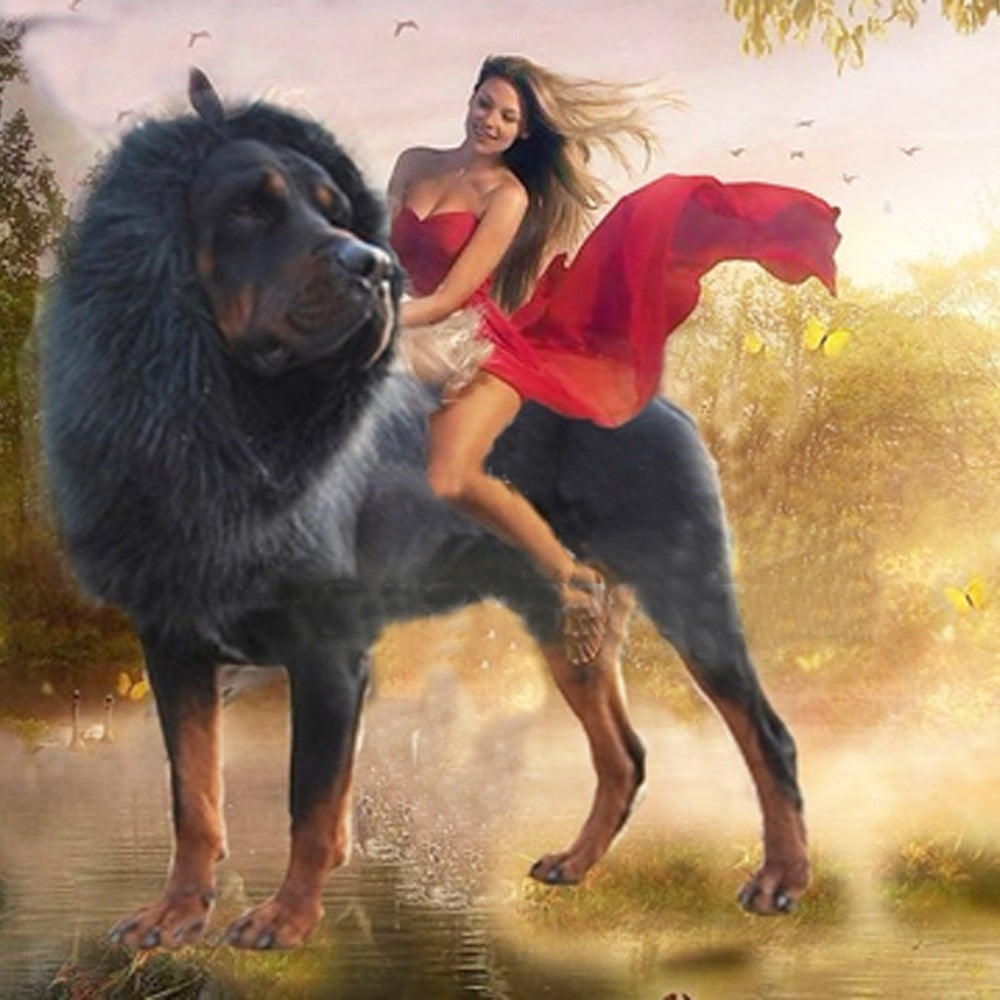 Pet transformation funny dog lion wig hat pet lion headgear eprolo