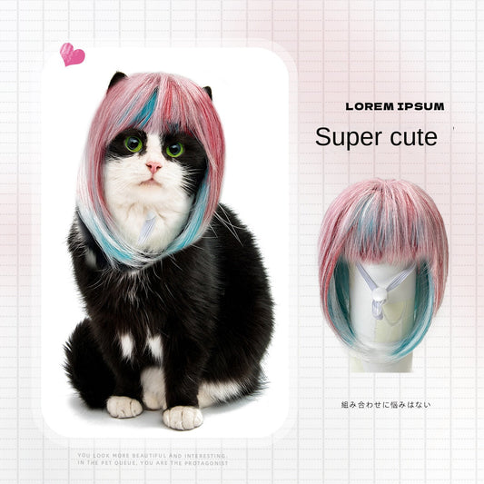Pet cat long wig cat dog universal colorful long hair party outfit eprolo