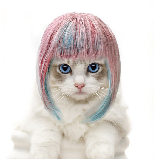 Pet cat long wig cat dog universal colorful long hair party outfit eprolo