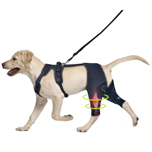 Pet Leg Support Dog Knee Brace Post-Surgery Rehabilitation Knee Support Joint Protection Bandage eprolo