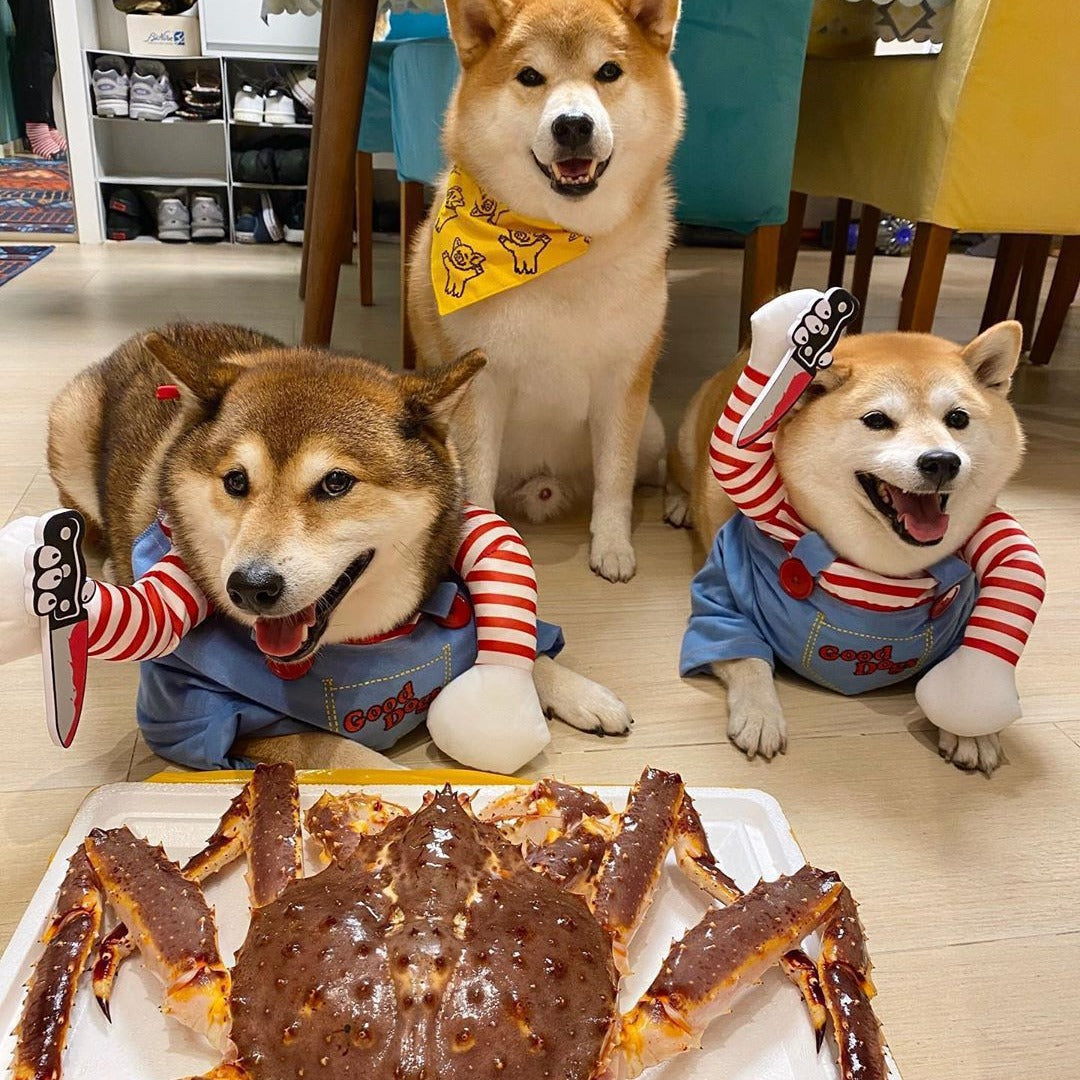 Halloween knife deadly doll small and medium-sized dog funny transformation eprolo