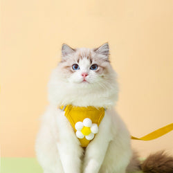 Anti-Breakaway Cat Harness & Leash Set – Secure Vest Style Chest Strap