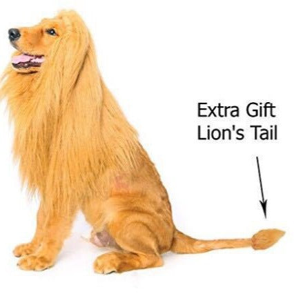 Pet transformation funny dog lion wig hat pet lion headgear eprolo