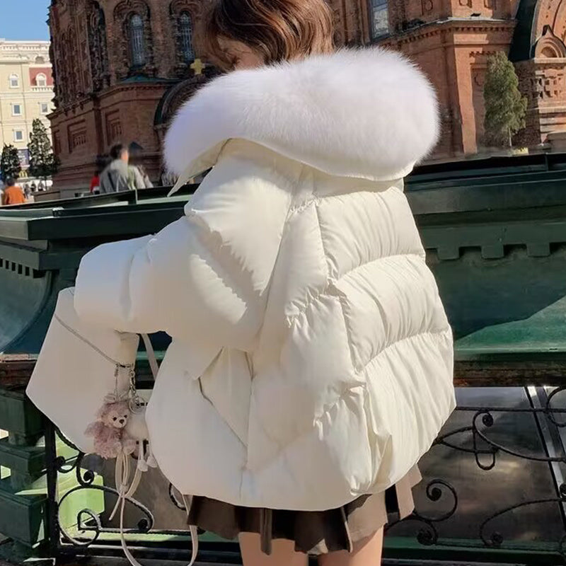 Down Cotton-padded Jacket Women's Short Fur Collar Thickened Coat Winter Clothing Shopera