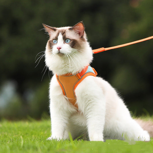 Anti-Escape Reflective Cat Harness & Leash Set – Adjustable Safety Vest